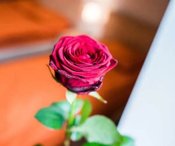 Pod Roza * Затор